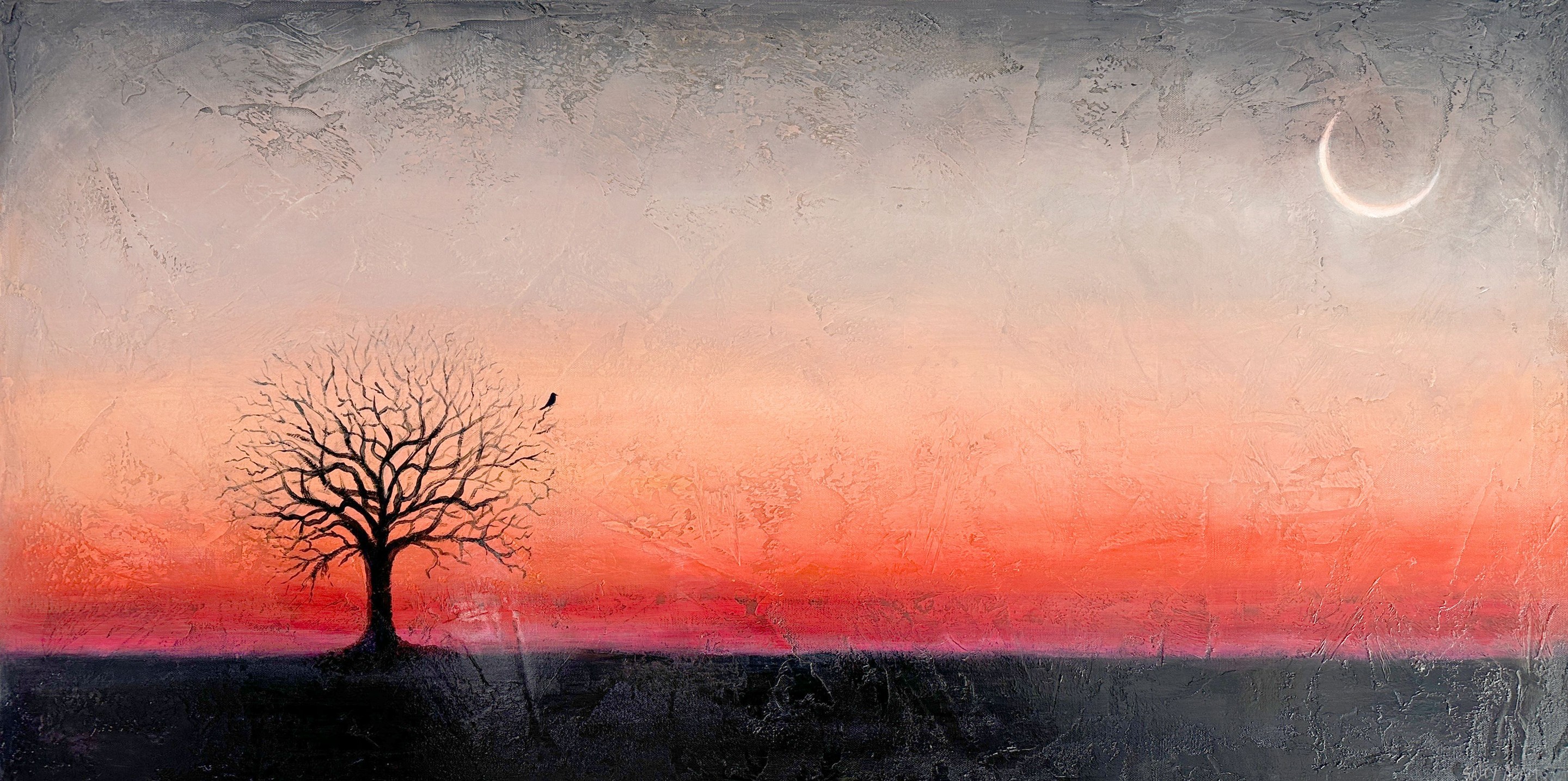 Sally Adams, Brand New Day Sally Adams, Brand New Day