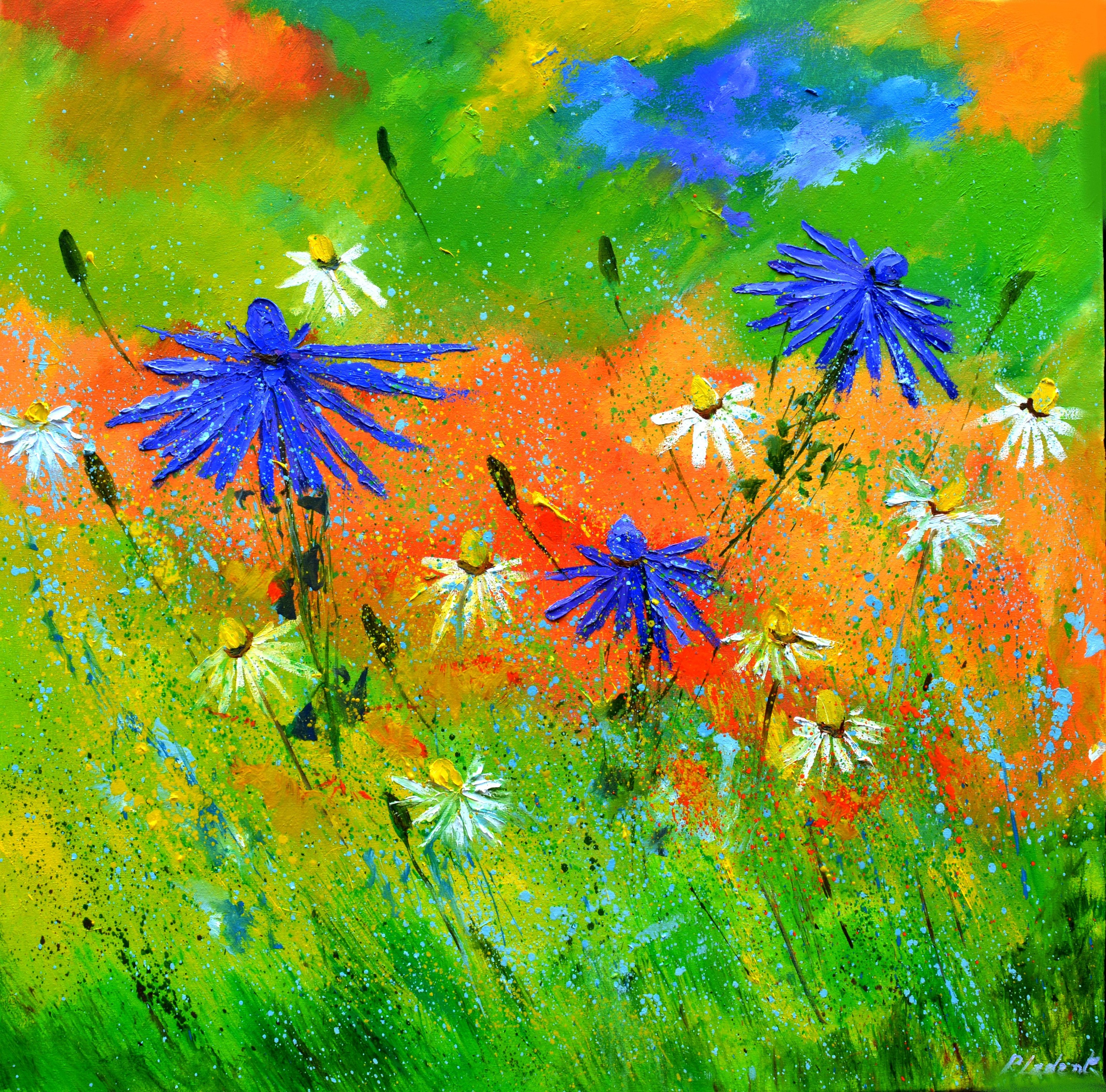 Pol Ledent, Summer wild flowers 7724 Pol Ledent, Summer wild flowers 7724