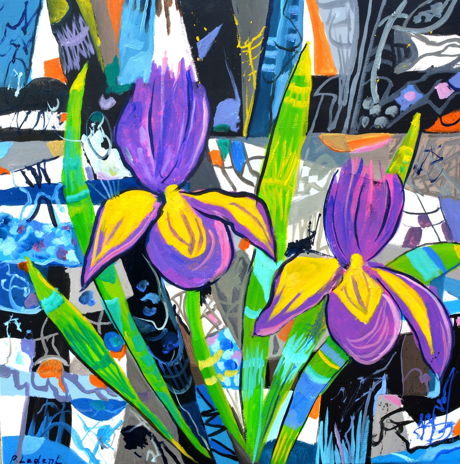 Pol Ledent, Iris - 7724 Pol Ledent, Iris - 7724