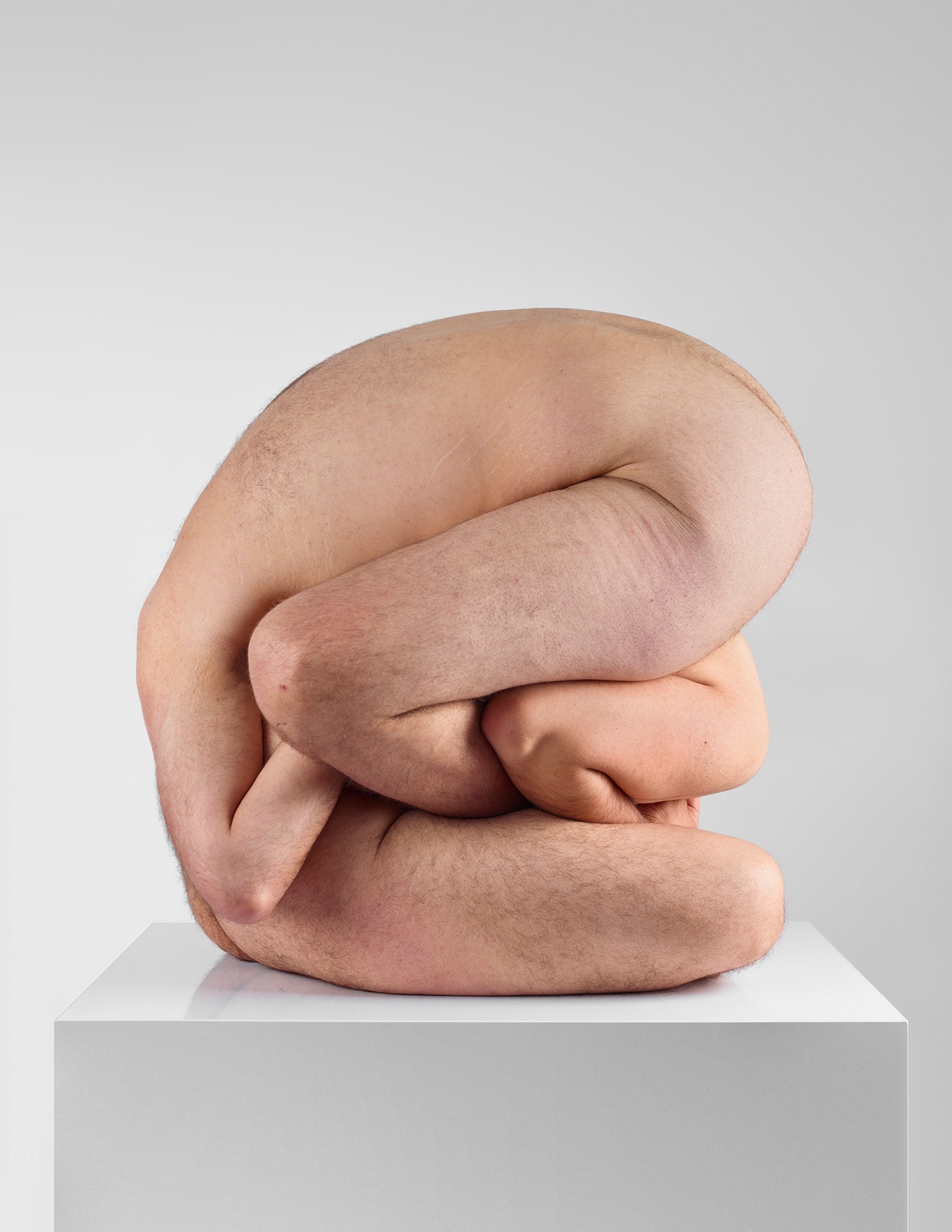 Javier Rey, Amorphisms 5 Javier Rey, Amorphisms 5