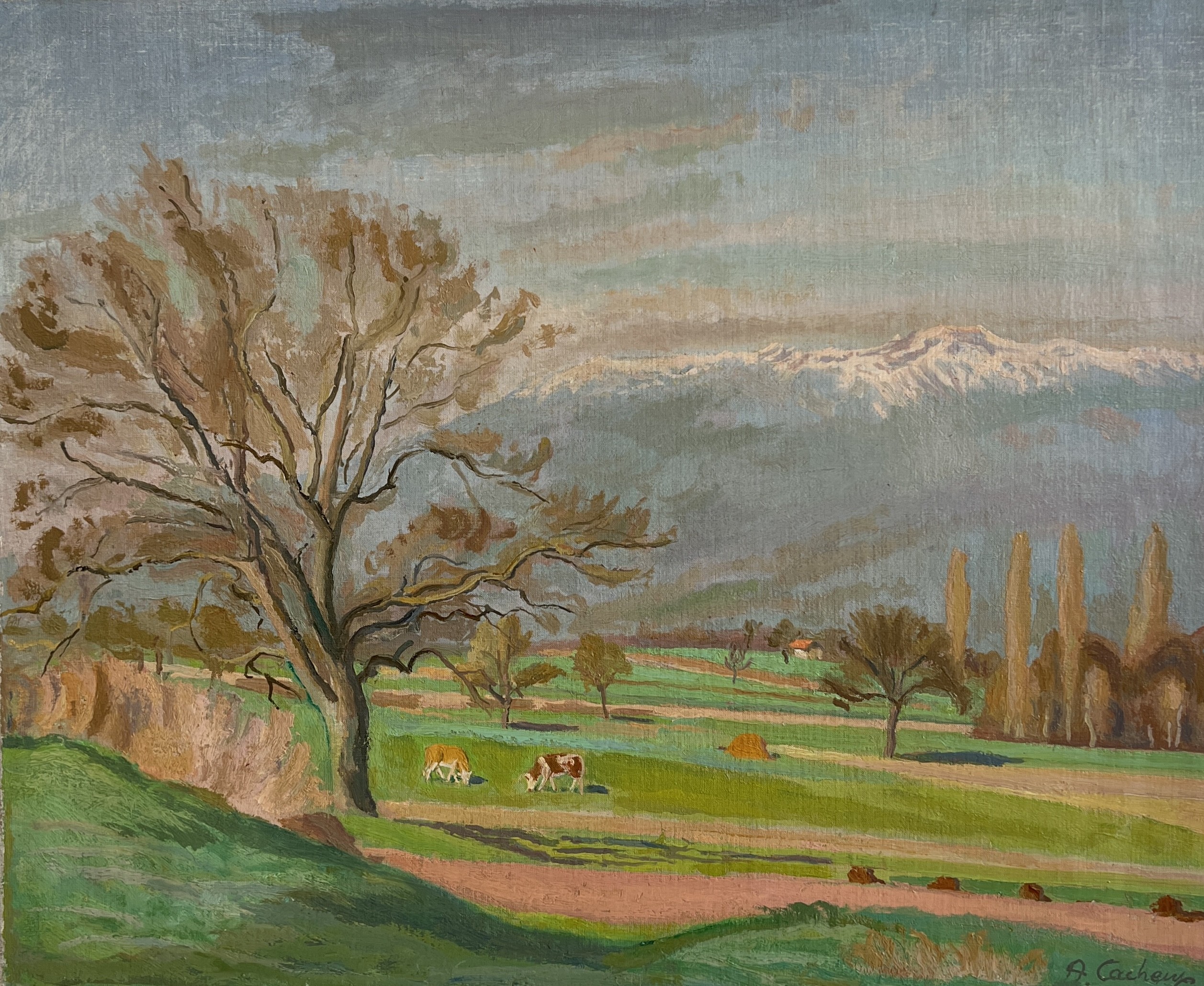 Armand Cacheux, Campagne et vaches dans le champ Armand Cacheux, Campagne et vaches dans le champ