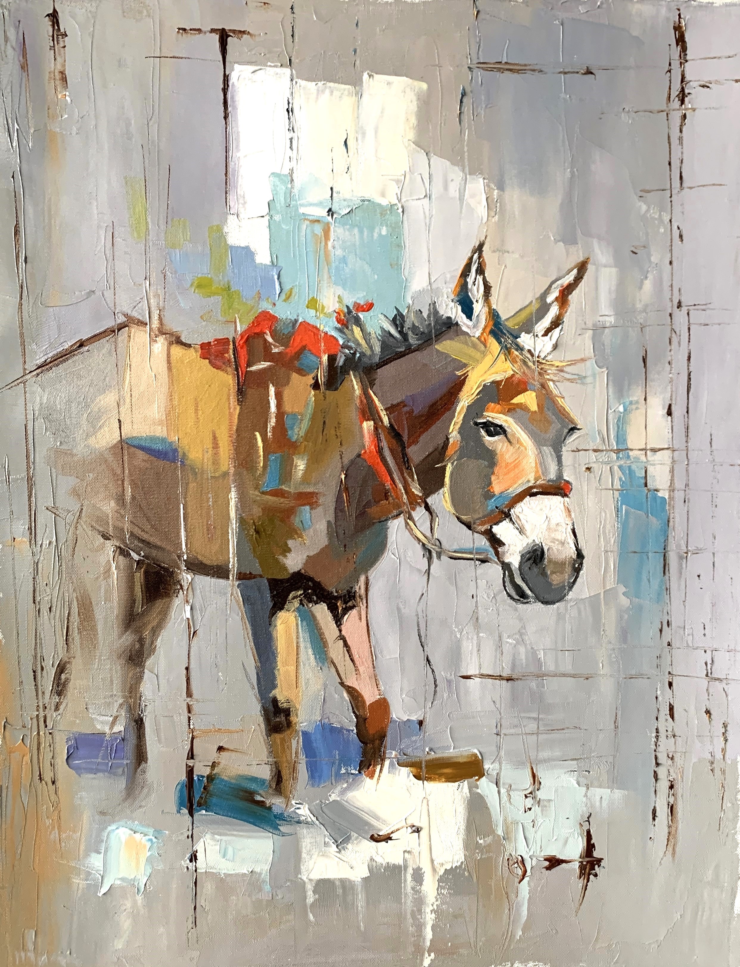 Schagen Vita, Little donkey Schagen Vita, Little donkey