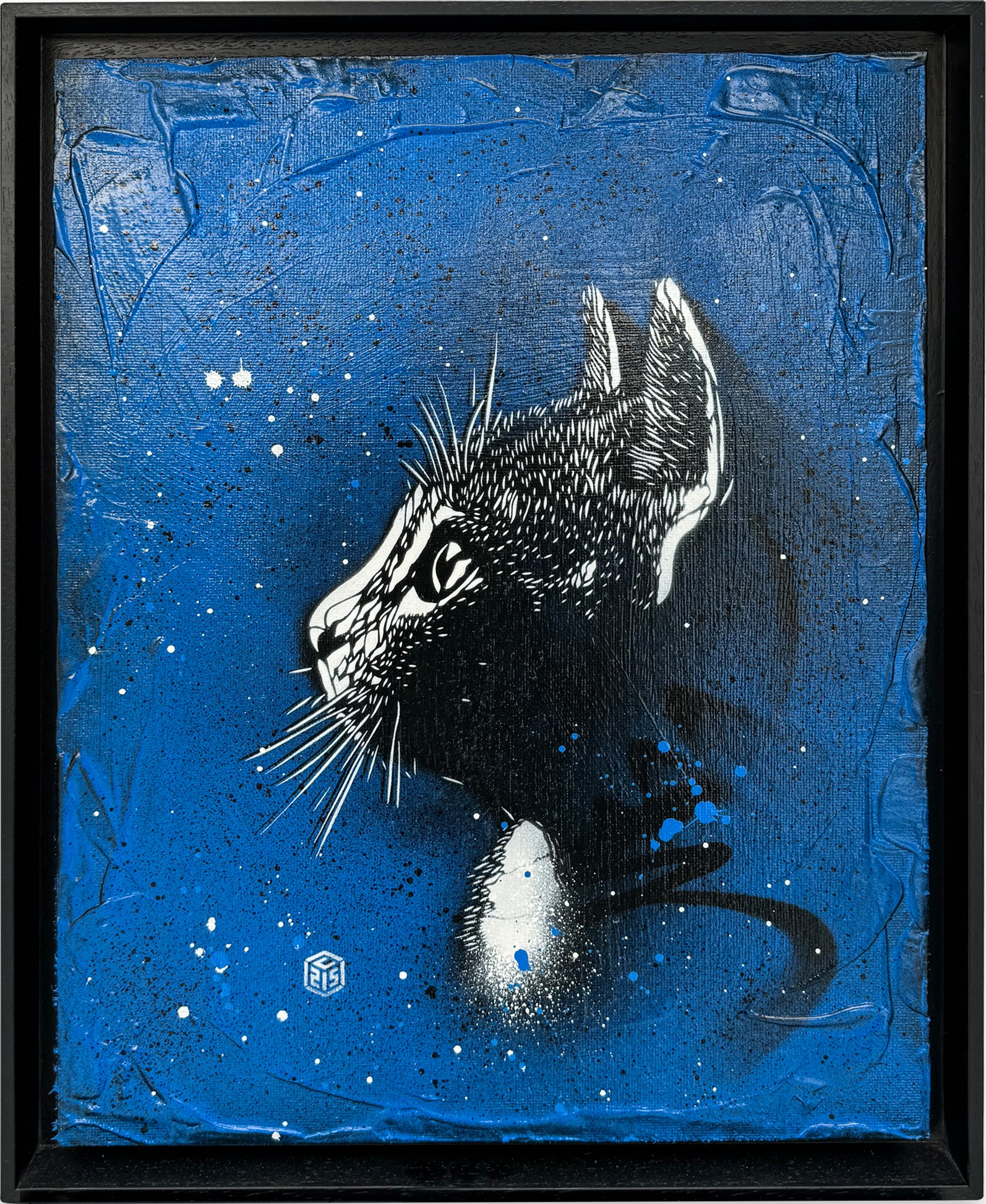 C215, Felix Chat Bleu C215, Felix Chat Bleu