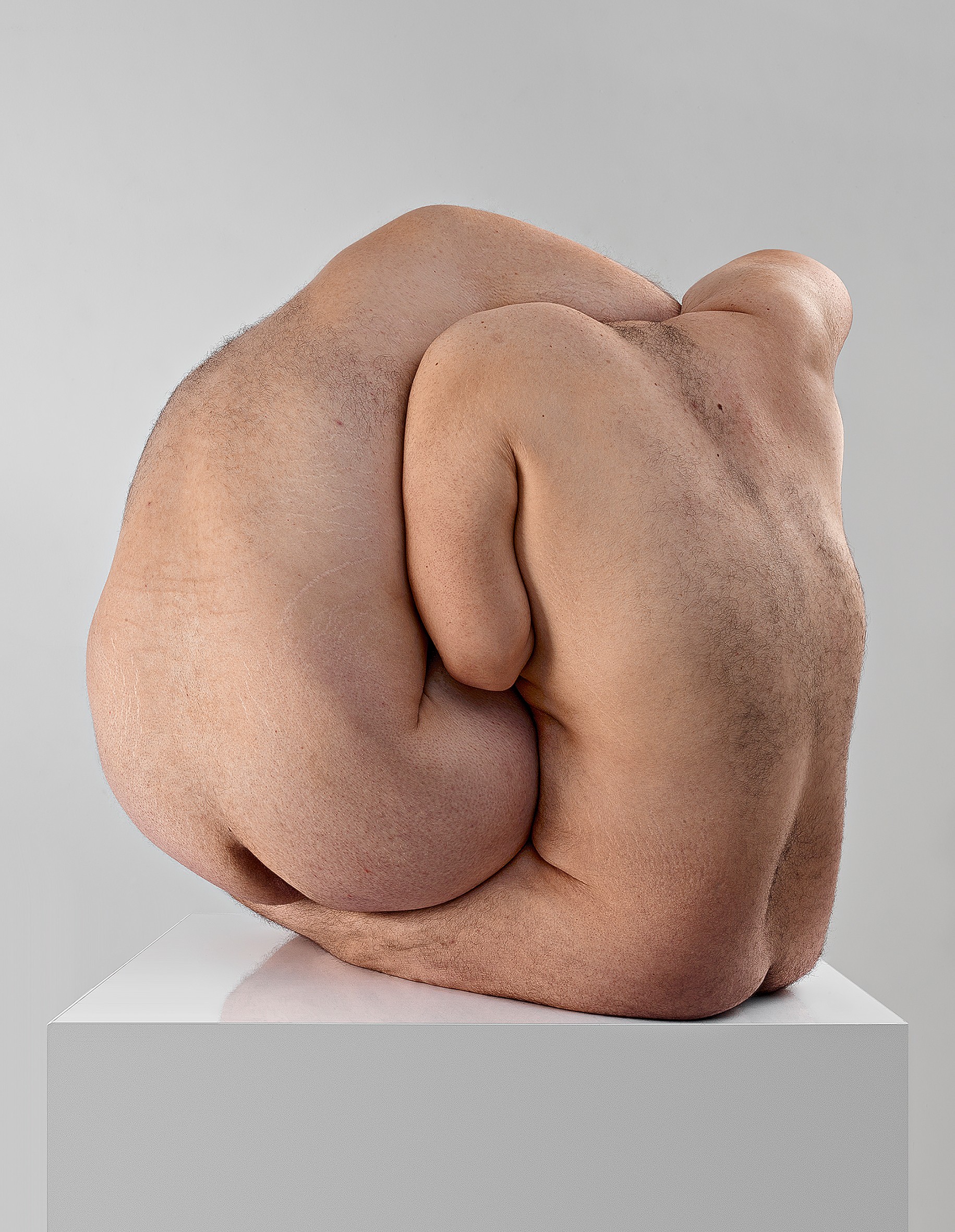 Javier Rey, Amorphisms 6 Javier Rey, Amorphisms 6