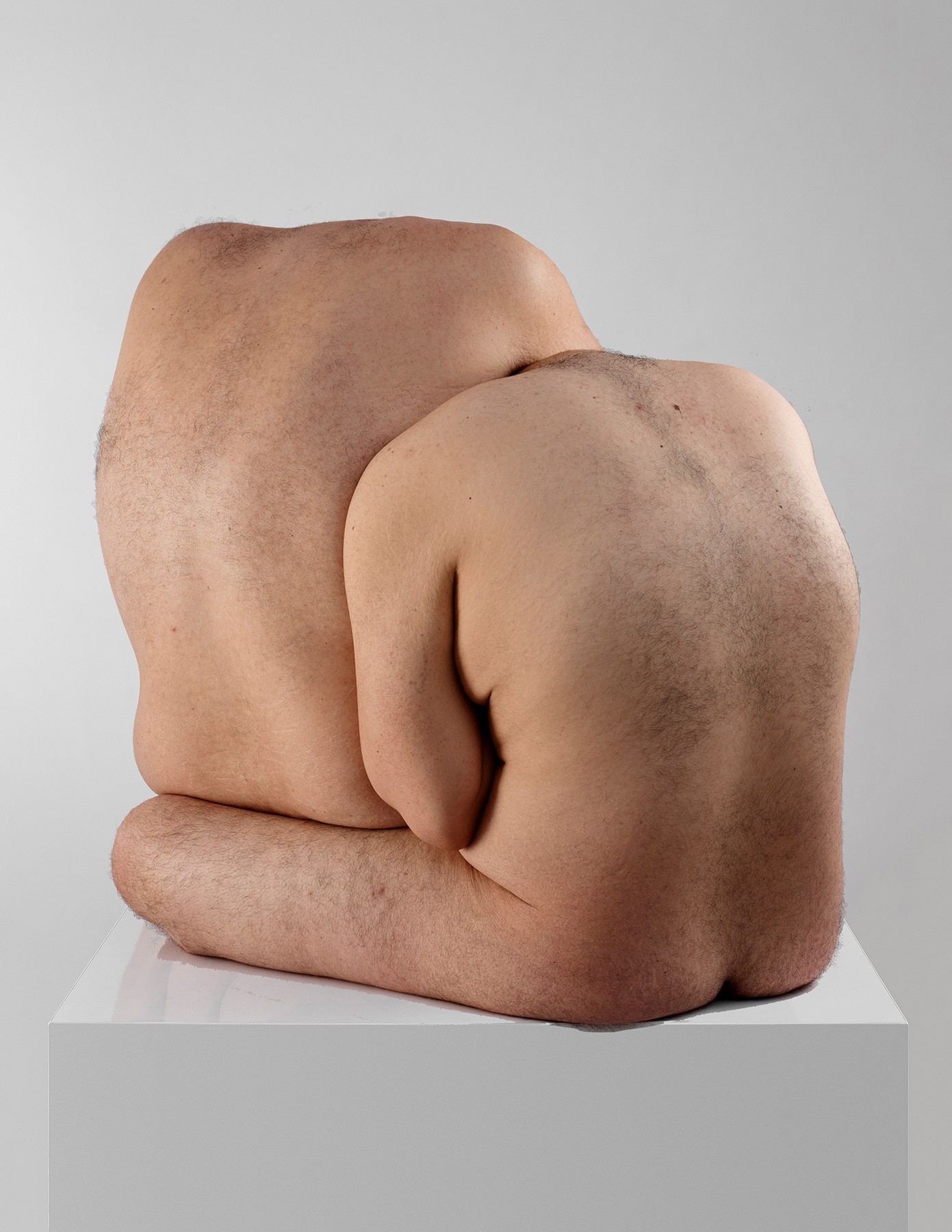 Javier Rey, Amorphisms 7 Javier Rey, Amorphisms 7