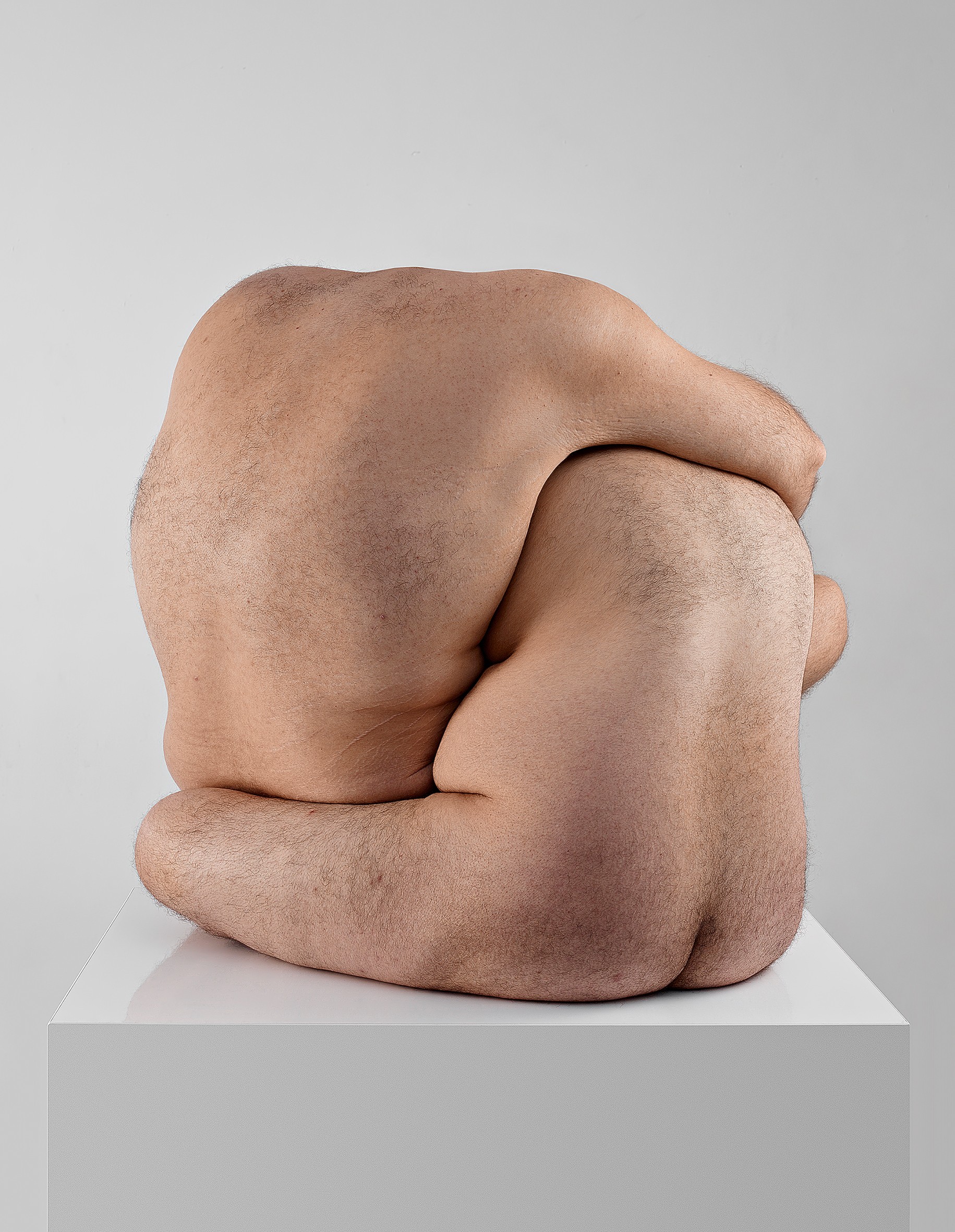 Javier Rey, Amorphisms 8 Javier Rey, Amorphisms 8