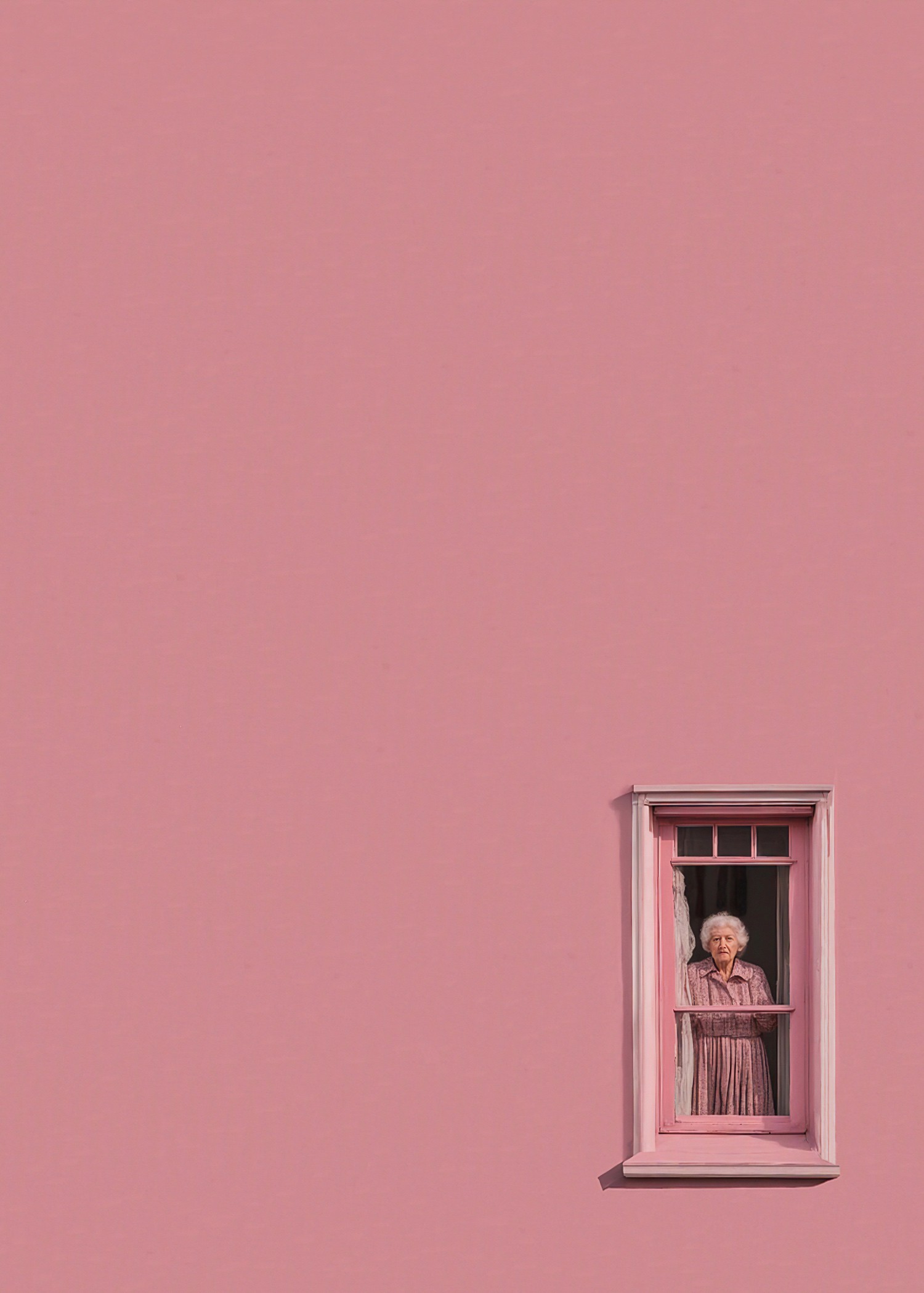 Marcus Cederberg, Pink Lady Marcus Cederberg, Pink Lady