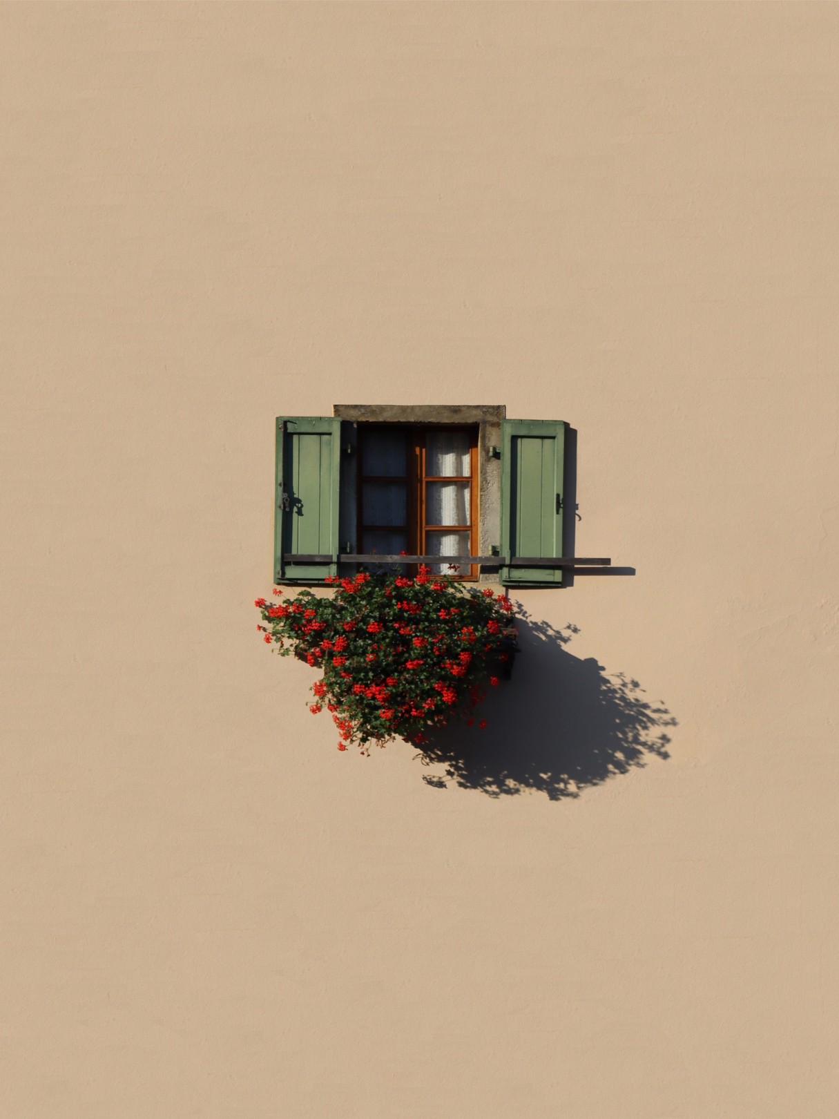 Marcus Cederberg, Home gardener Marcus Cederberg, Home gardener