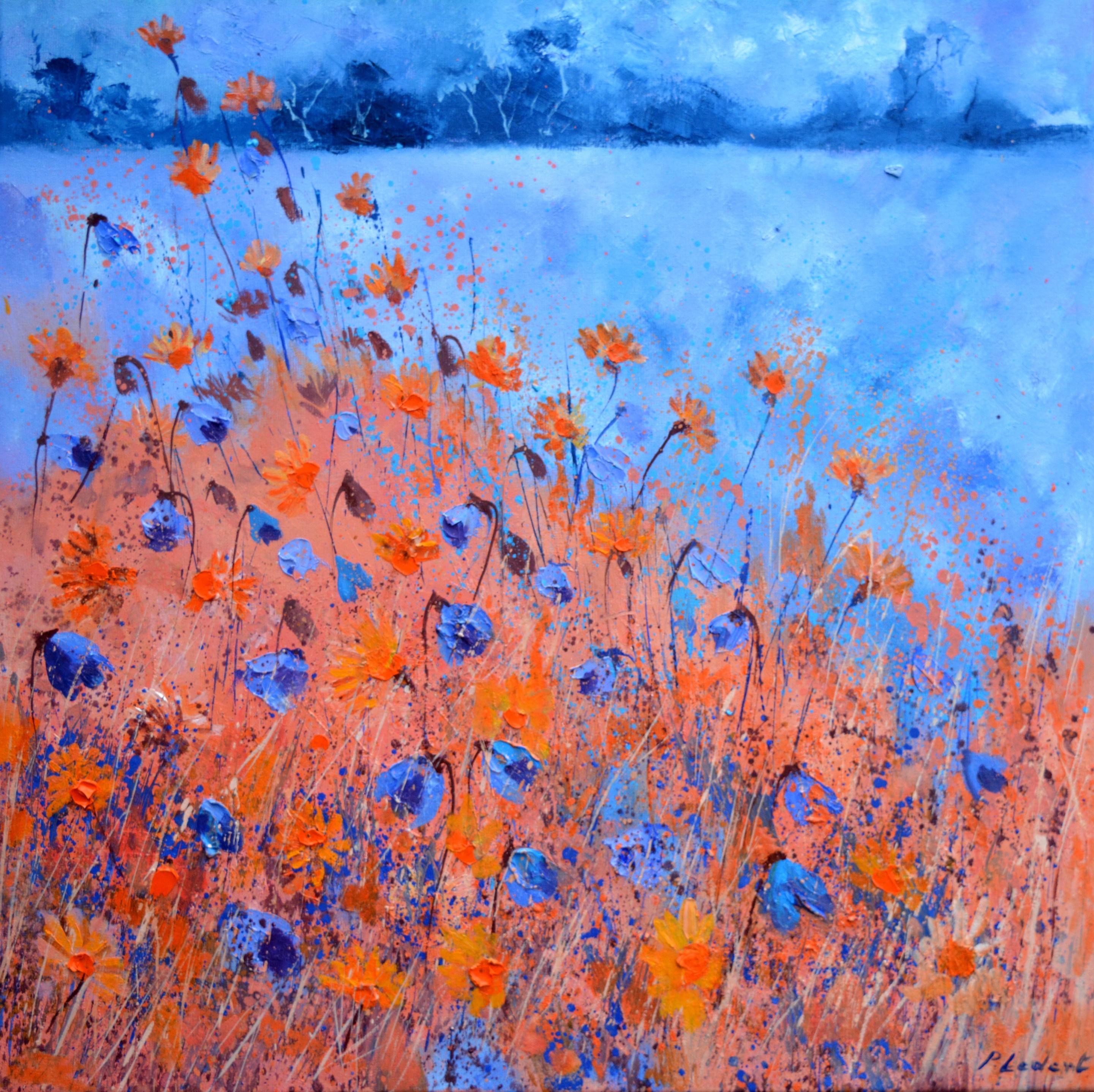 Pol Ledent, Cornflowers Pol Ledent, Cornflowers