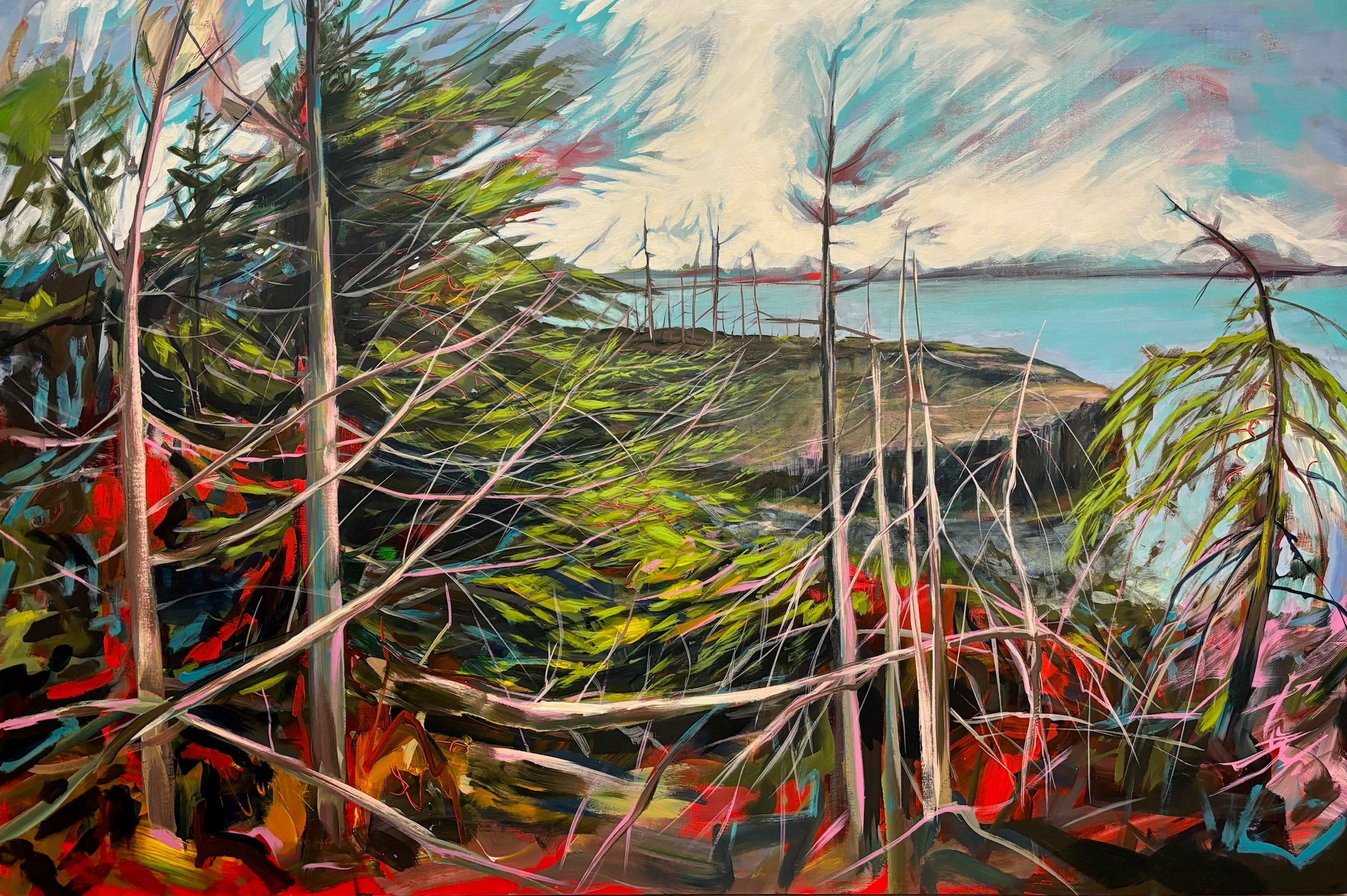 Shane Norrie, Outcrop Shane Norrie, Outcrop