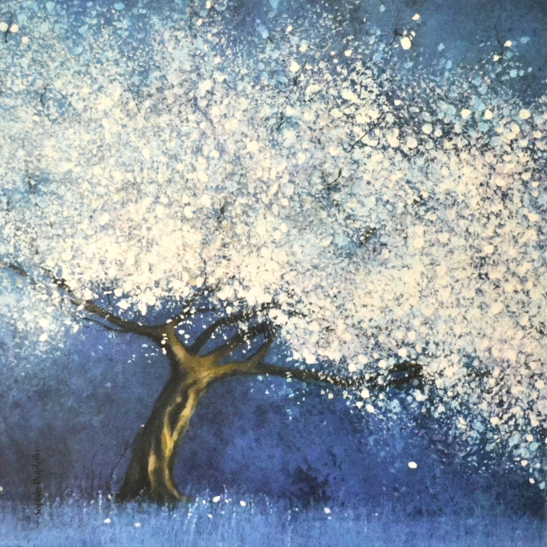 Sophie Duplain, Bleu Nuit P1 Sophie Duplain, Bleu Nuit P1