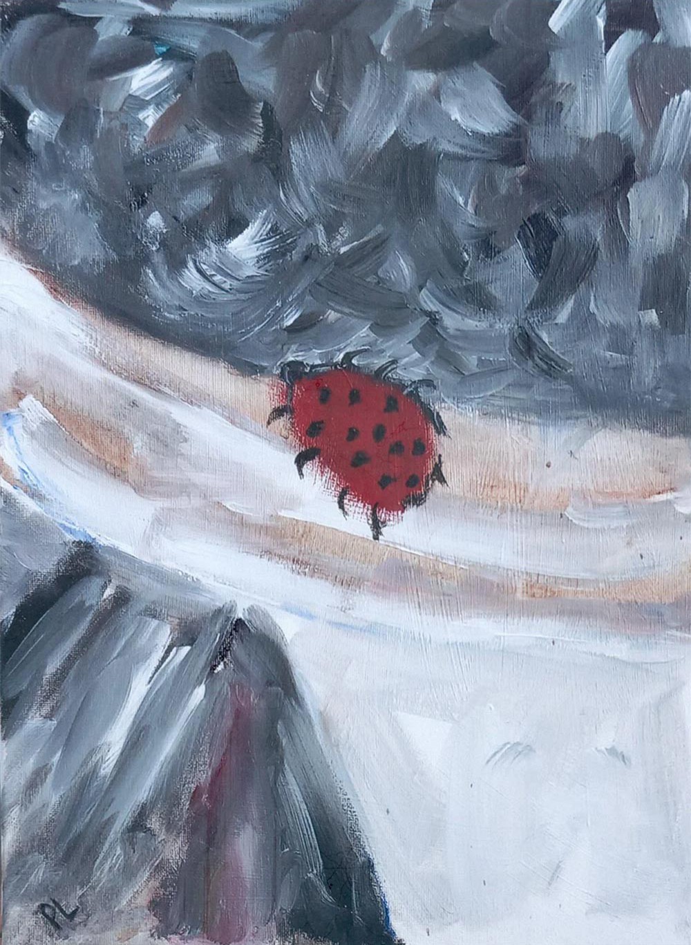 Paola Lanzi, Coccinelle Paola Lanzi, Coccinelle