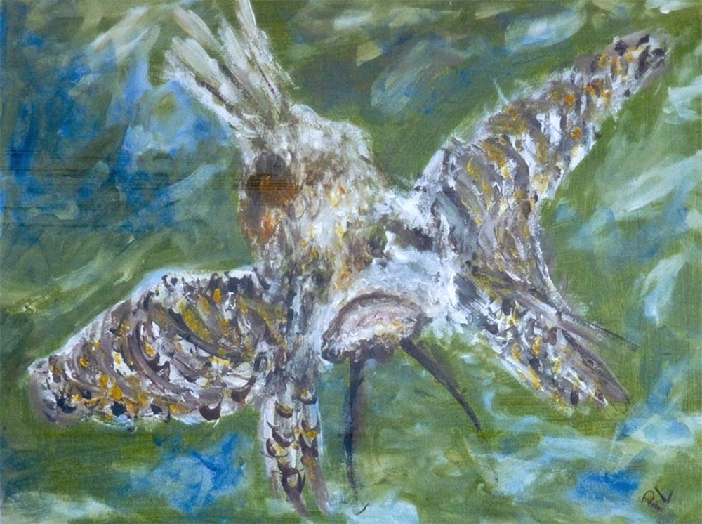 Paola Lanzi, Poisson (1) Paola Lanzi, Poisson (1)