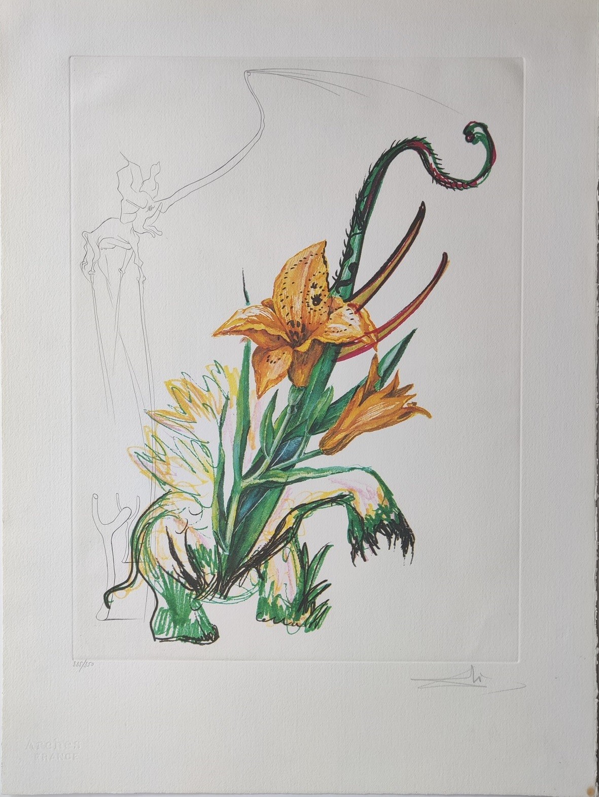 Salvador Dali, Hemerocallis thumbergii elephanter from Surrealistic Flowers Salvador Dali, Hemerocallis thumbergii elephanter from Surrealistic Flowers