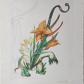 Édition, Hemerocallis thumbergii elephanter from Surrealistic Flowers, Salvador Dali