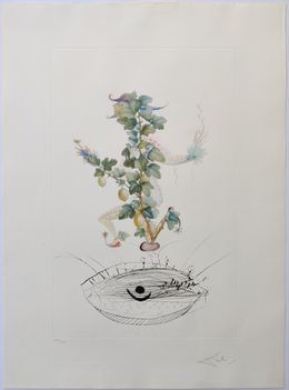 Print, Révérence du groseillier from Flor Dali/Les fruits, Salvador Dali
