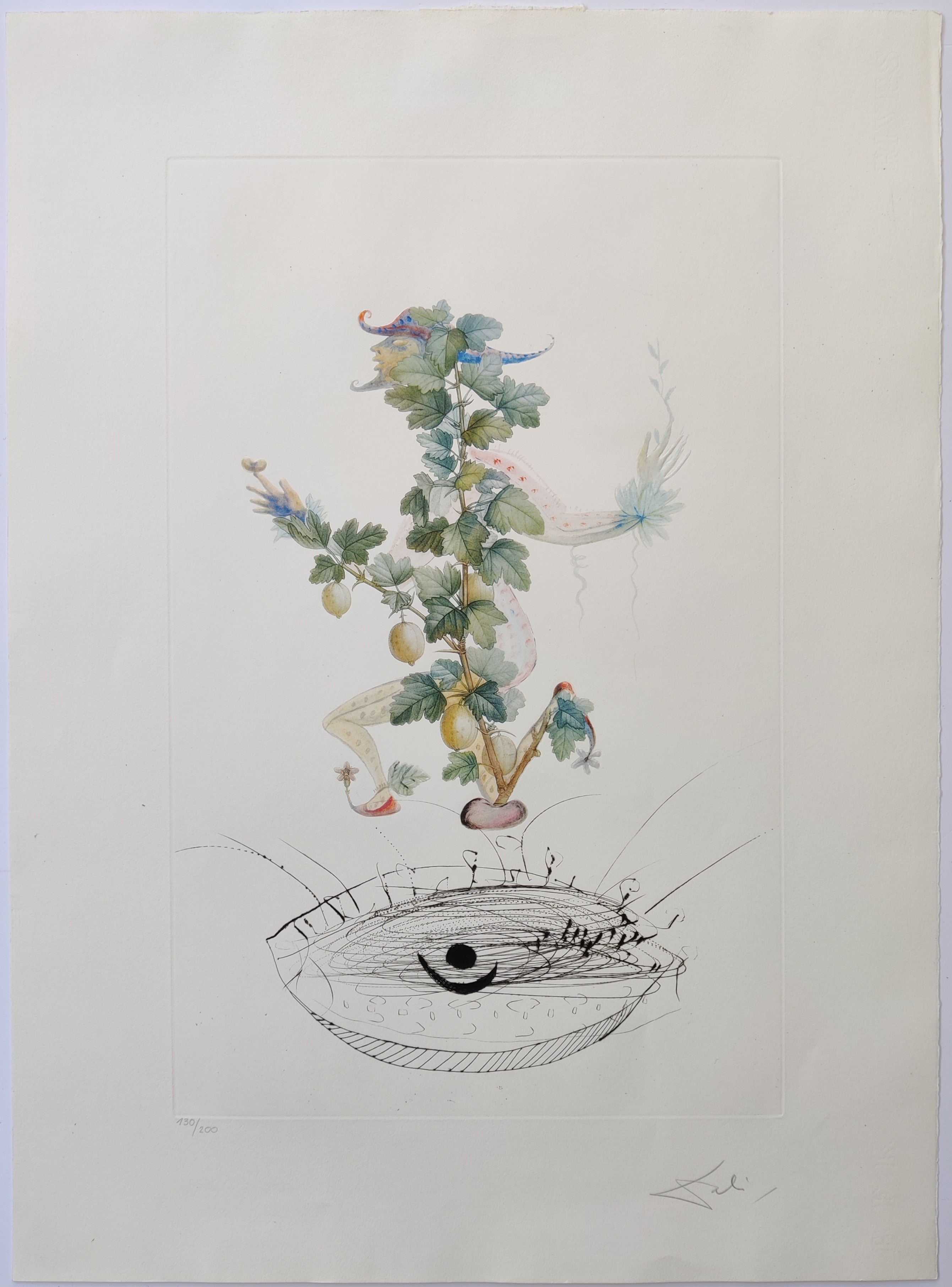 Salvador Dali, Révérence du groseillier from Flor Dali/Les fruits Salvador Dali, Révérence du groseillier from Flor Dali/Les fruits