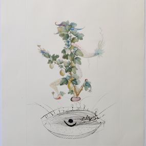 Print, Révérence du groseillier from Flor Dali/Les fruits, Salvador Dali