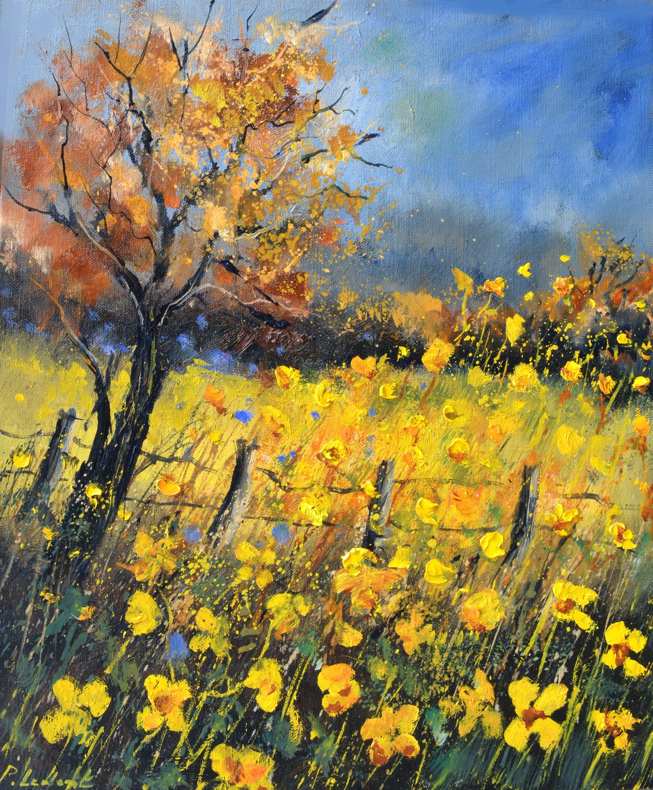 Pol Ledent, Buttercups Pol Ledent, Buttercups