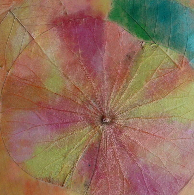 Shiori Sugiyama, Bouquet of gratitude Shiori Sugiyama, Bouquet of gratitude