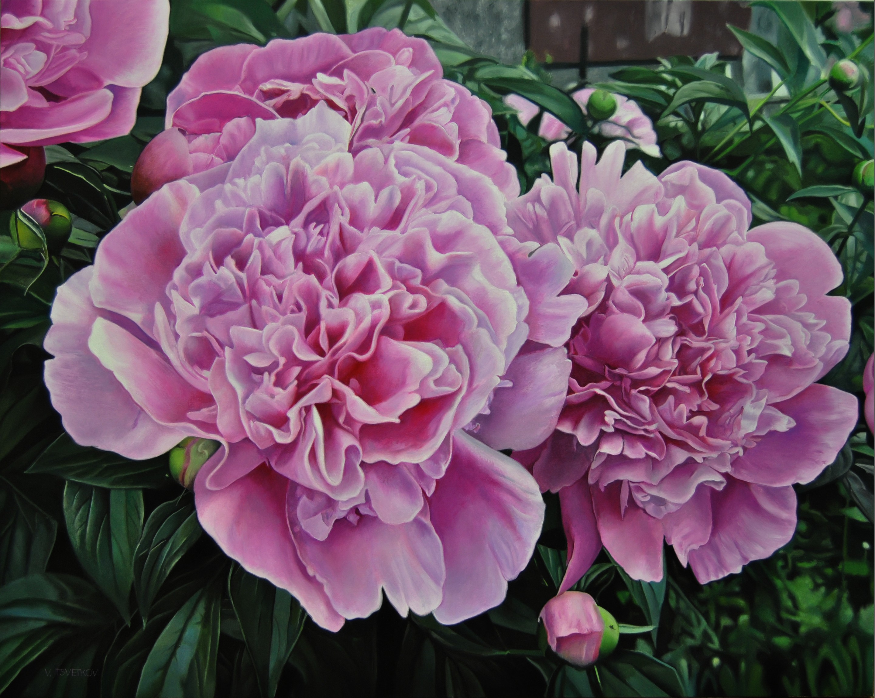 Valeri Tsvetkov, Peonies Valeri Tsvetkov, Peonies