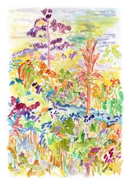 Fine Art Drawings, Jardin du Sud, Claire Duplouy