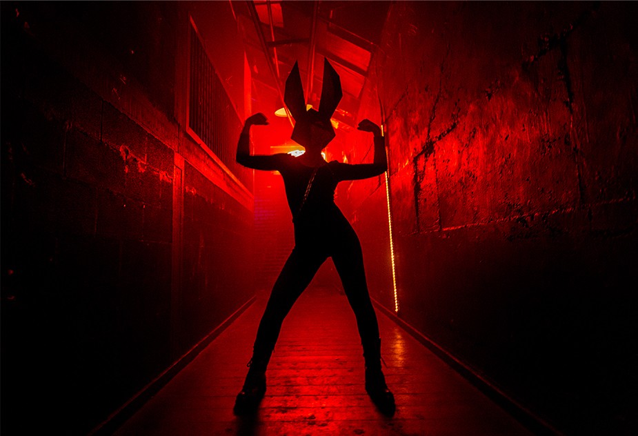 Nir Hadar, Rabbit Nir Hadar, Rabbit
