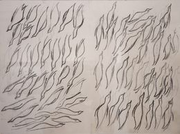 Zeichnungen, 75 Flying Penguins And 1 Seal, Marina Velikova