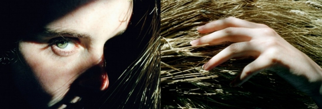 Stephen Roach, Harvest Diptych Stephen Roach, Harvest Diptych