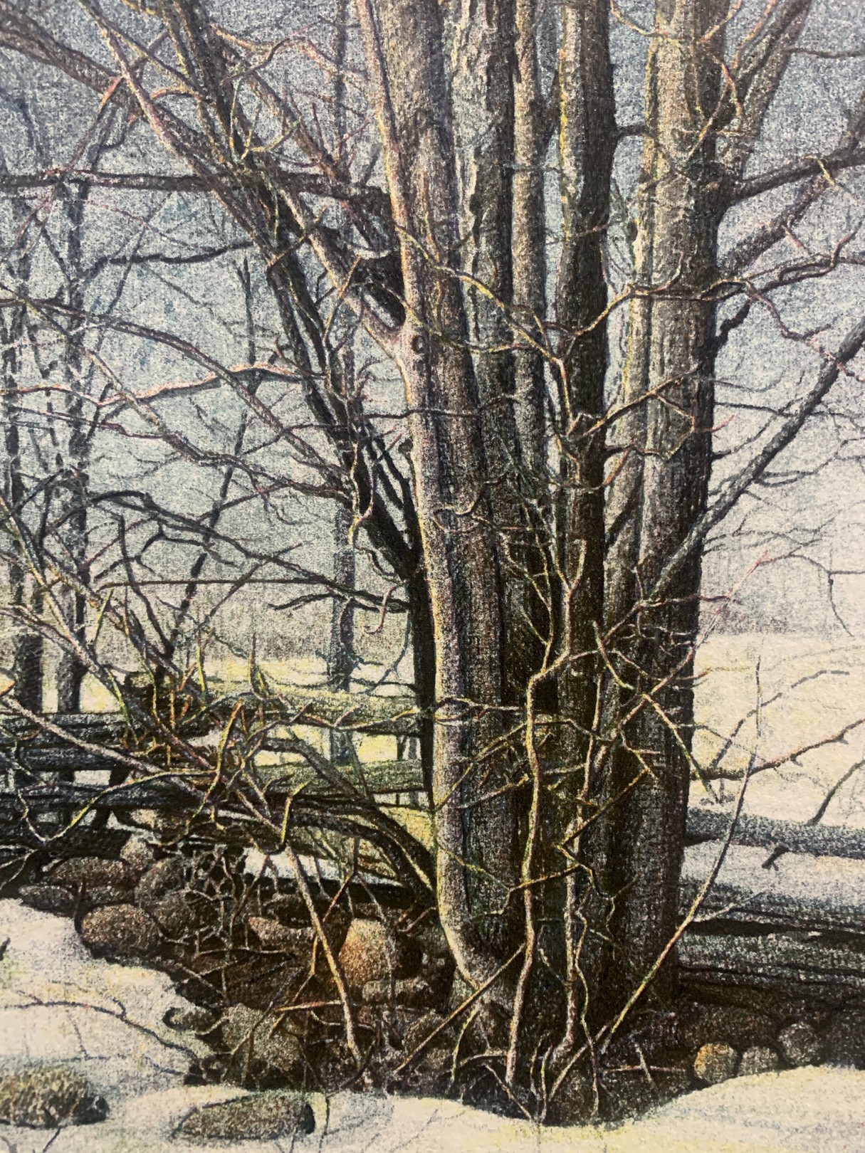 Artis Reigo, Late Winter Artis Reigo, Late Winter