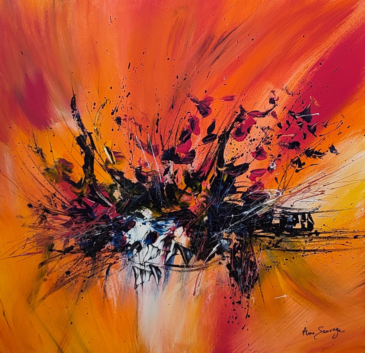 Âme Sauvage, Explosion intégrale Âme Sauvage, Explosion intégrale