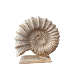 Sculpture, Shell Design Sculpture, Dervis Akdemir