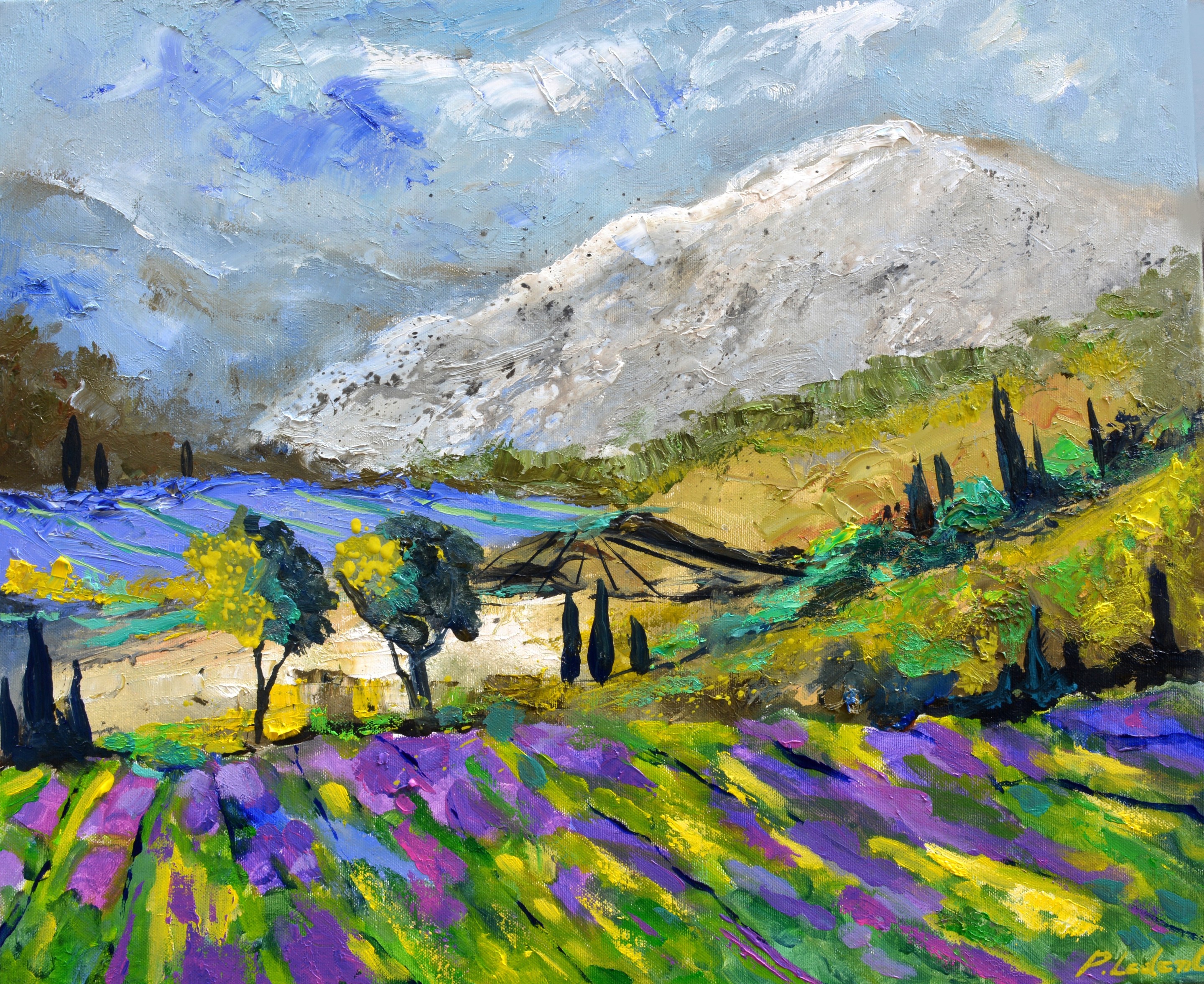 Pol Ledent, Lavender in Provence 6524 Pol Ledent, Lavender in Provence 6524