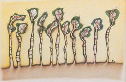 Fine Art Drawings, L'orée du bois - Univers végétal, Claire Palaniaye