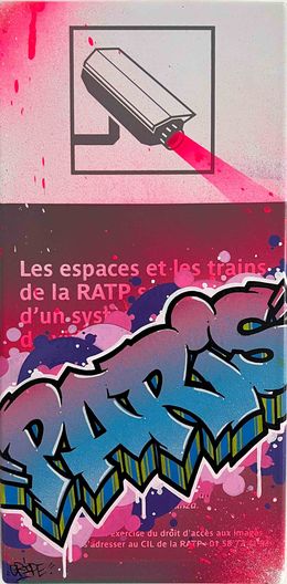 Gemälde, Paris sous surveillance, Anthony Grip