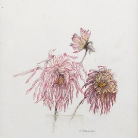 Dessin, Dahlias - Univers végétal, Claire Palaniaye