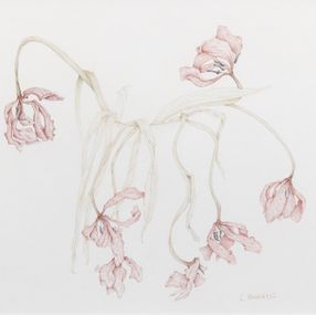 Fine Art Drawings, Tulipes roses fanées - Univers végétal, Claire Palaniaye