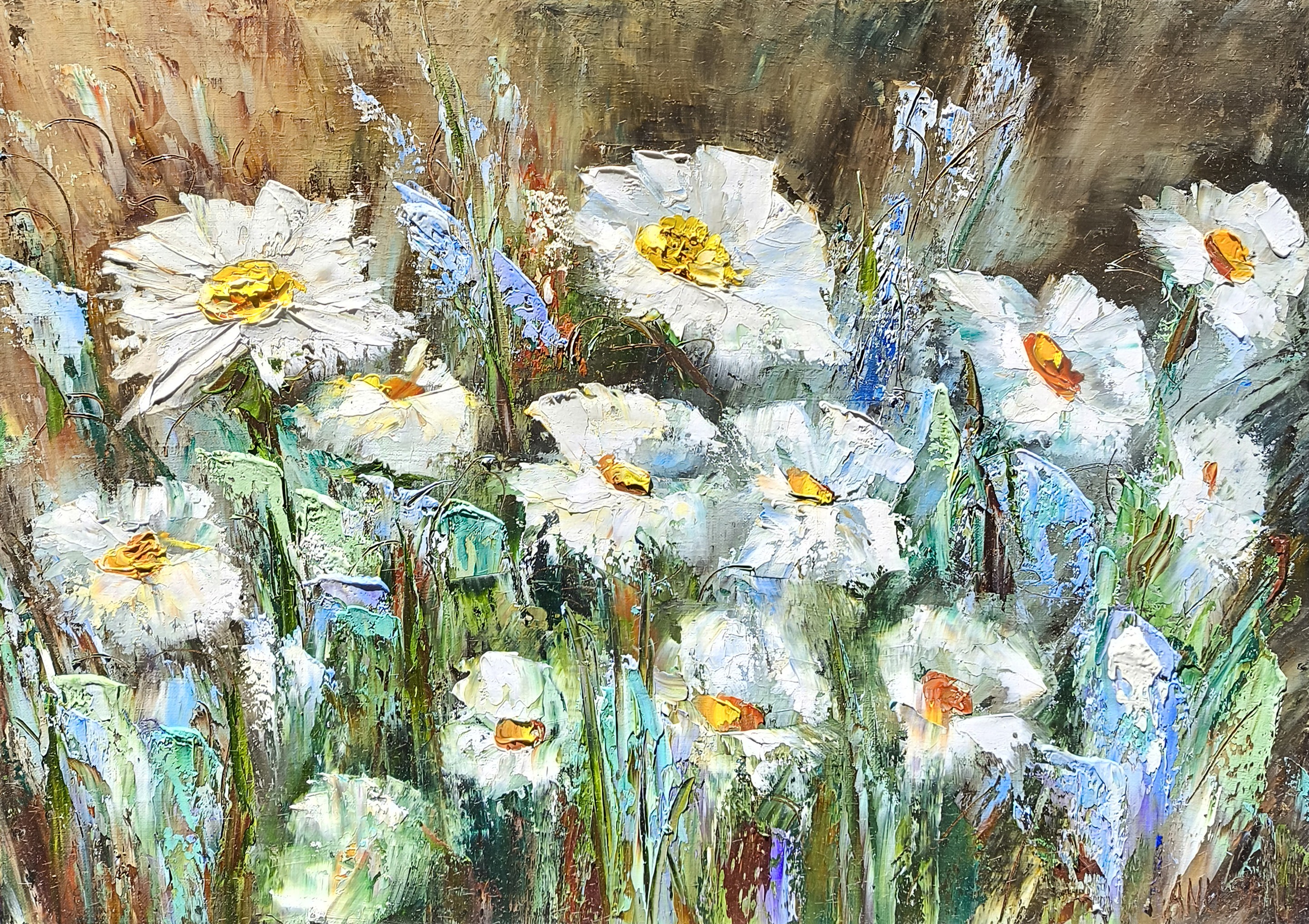 Anush Emiryan, Daisies Meadows Anush Emiryan, Daisies Meadows