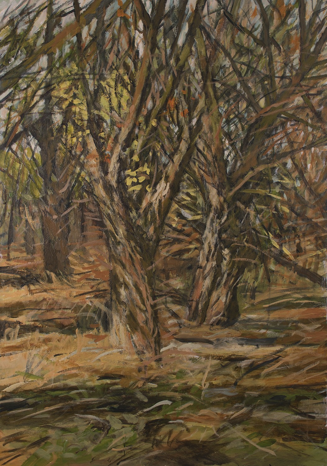 Milan Laciak, The Old Trees Milan Laciak, The Old Trees