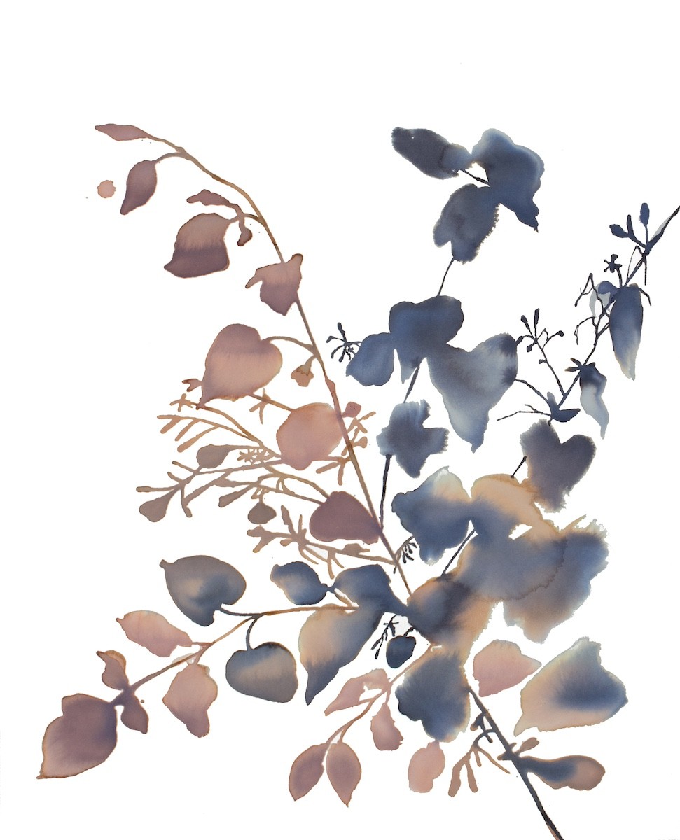 Elizabeth Becker, Shadow Study No. 10 Elizabeth Becker, Shadow Study No. 10