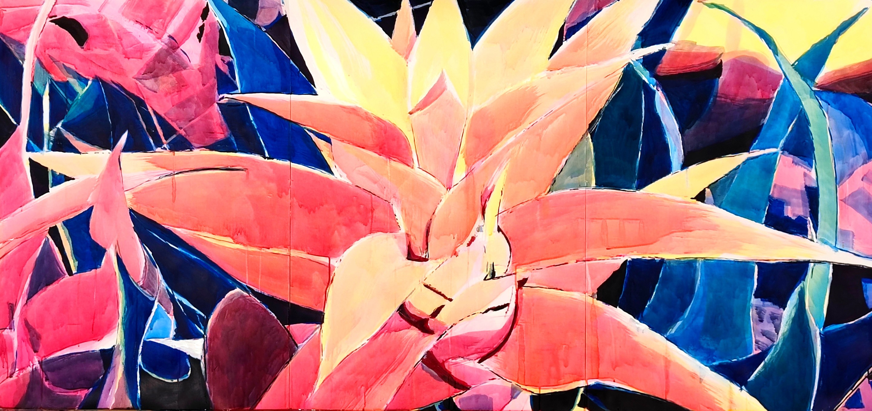 Manuel Perez, Estrella Bromelia Manuel Perez, Estrella Bromelia