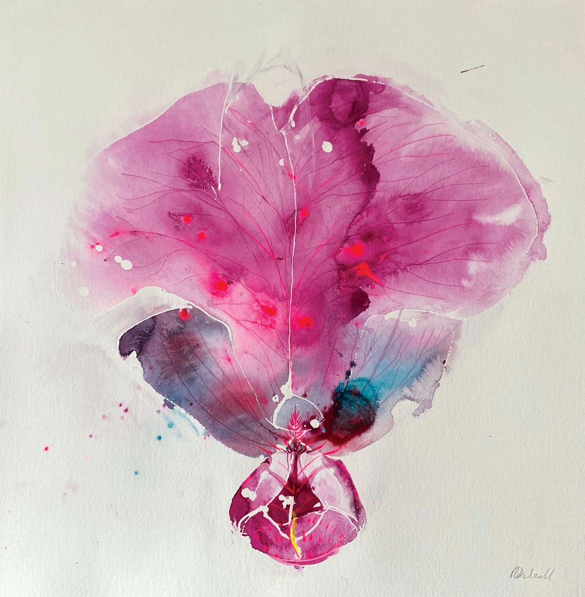 Rachael Dalzell, Salvia Hot Lips Rachael Dalzell, Salvia Hot Lips