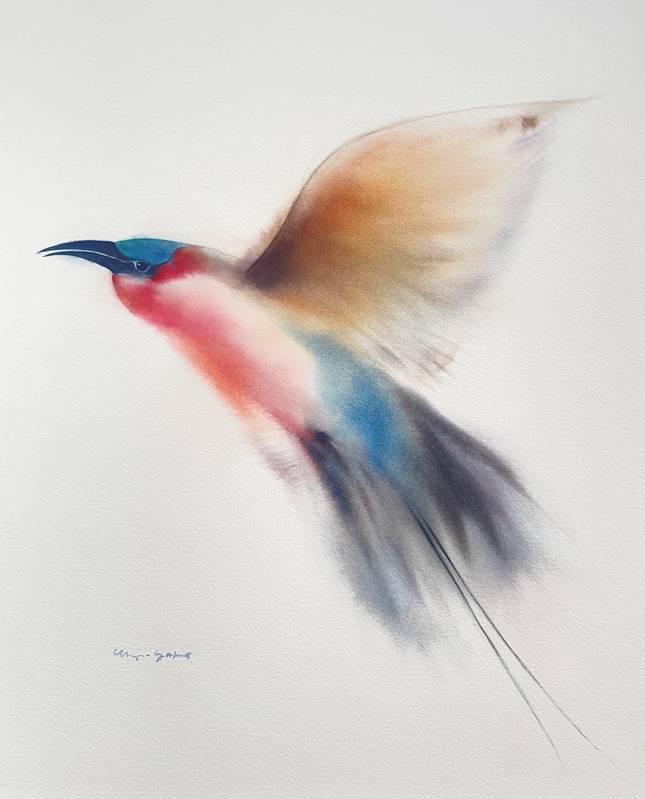 Klaus Meyer-Gasters, Bienenfresser Vogel | European Bee-Eater Klaus Meyer-Gasters, Bienenfresser Vogel | European Bee-Eater