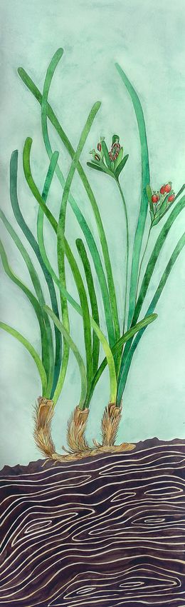 Painting, Sous la surface : Posidonia oceanica, Aurélie Trabaud