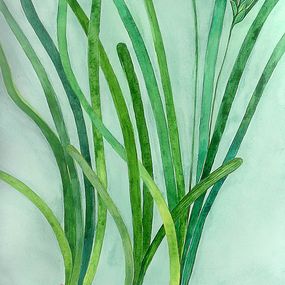 Pintura, Sous la surface : Posidonia oceanica, Aurélie Trabaud