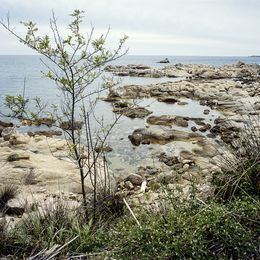 Fotografía, 042-Roches Escudelier, José Nicolas