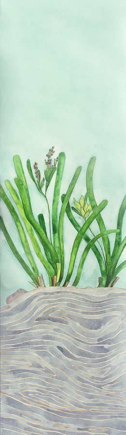 Gemälde, Sous la surface : Posidonia australis, Aurélie Trabaud
