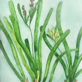 Painting, Sous la surface : Posidonia australis, Aurélie Trabaud