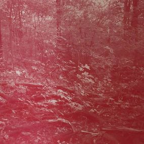 Painting, Forest Red I., Funda Studio