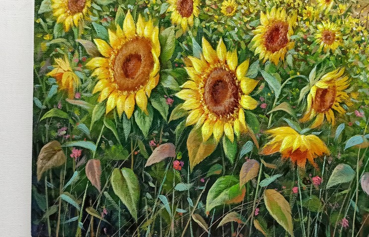 Raimondo Pacini, The sunflowers valley - Tuscany landscape painting, Painting on canvas